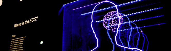 Pensamientos nocivos