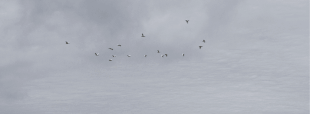 motivos terapia psicológica